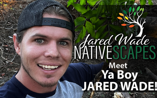 Meet Ya Boy, Jared Wade!